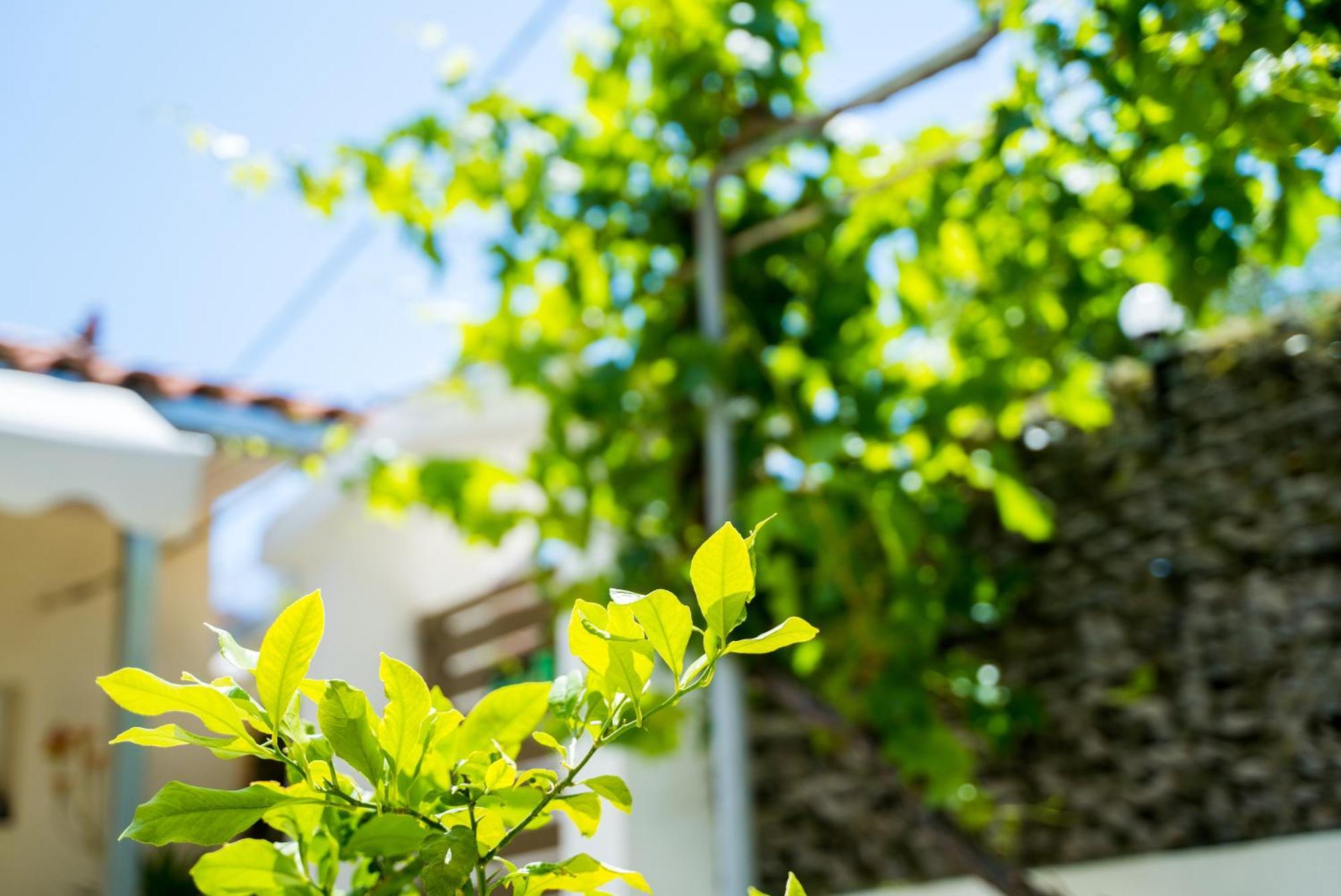 Ferienwohnung The Dreamhouse Athens Airport Artemida  Exterior foto